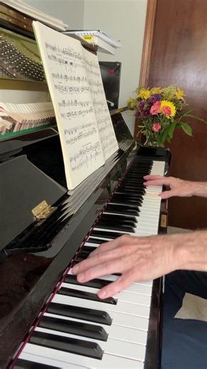 Liszt Funerailles (excerpt)