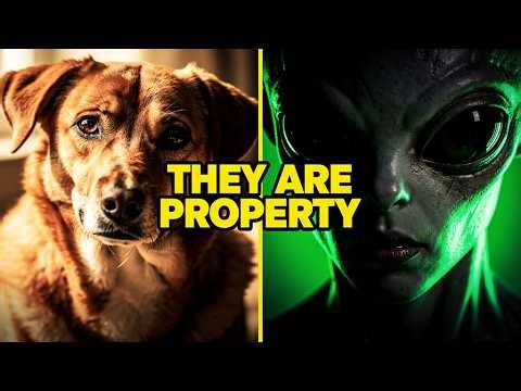 Why Aliens Have Fewer Rights Than Your Dog: Clifford Stone’s Warning