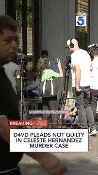 D4vd pleads not guilty in Celeste Hernandez murder case