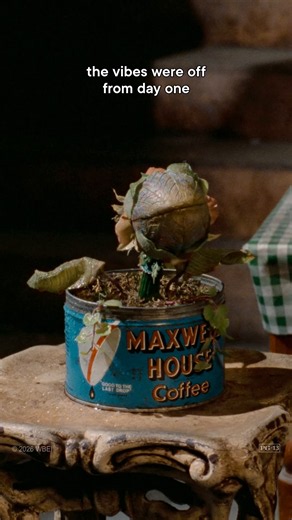 consider the red flags ignored🩸 The LITTLE SHOP OF HORRORS theatrical and director's cut is available now on 4K Ultra HD and Digital.