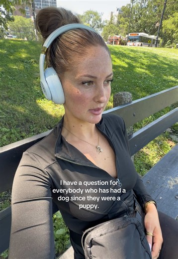 Teach My Mini Dachshund to Walk With Me: Simple Puppy Tips