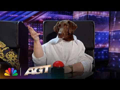 When the Dogs Run the Show 😂 | Canine Stars | AGT