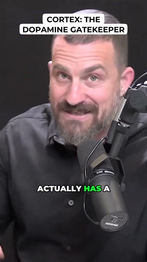 Cortex: The Dopamine Gatekeeper