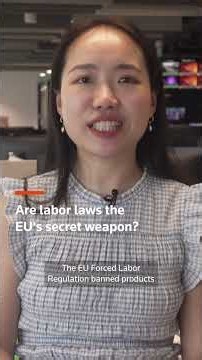 What do China-EU trade talks have to do with China's '996' workers?