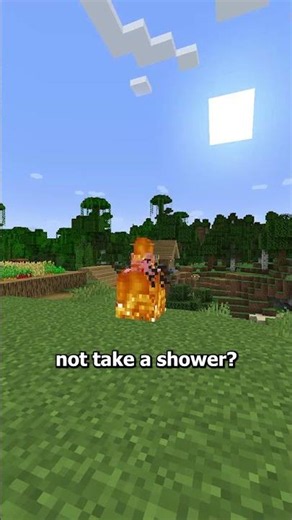 Minecraft bath review