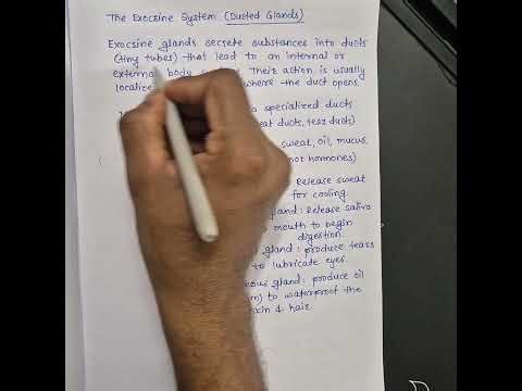 Endocrine and exocrine gland #physiotherapy #physiotherapist #anatomyandphysiology
