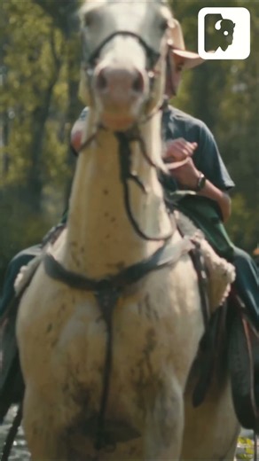 Horseback Riding is a Form of Therapy. Agree?