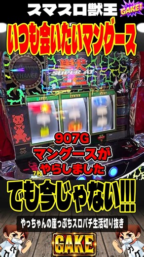 【獣王】907Gでマングース登場…嫌な予感がしました＃獣王＃やっちゃんの崖っぷちスロパチ＃スマスロ獣王
