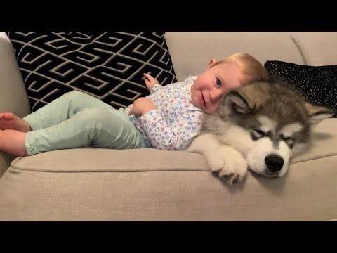 Adorable Baby And Puppy Play Together! (Cutest Ever!!) 