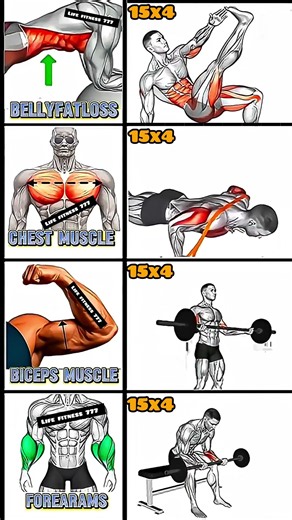 Biceps: 💥 Effective Standing Barbell Biceps Curls Routine #fitness #shorts 😱