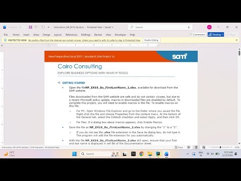 New Perspectives Excel 2019 | Module 8: SAM Project 1a Cairo Consulting