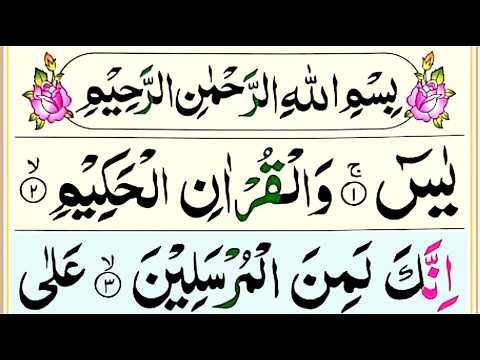 Surah Yaseen Fast [Surah Yasin Recitation with HD Arabic Text] Panipatti Voice | سورۃ یس [ep14]