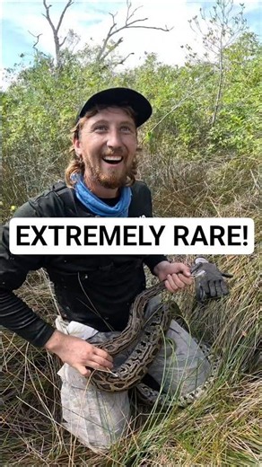 CATCHING THE RAREST PYTHON IN FLORIDA!