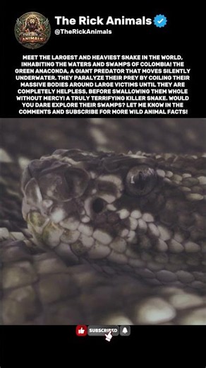 The Largest and Heaviest Snake in the World! #shorts #anaconda #wildlife #snake
