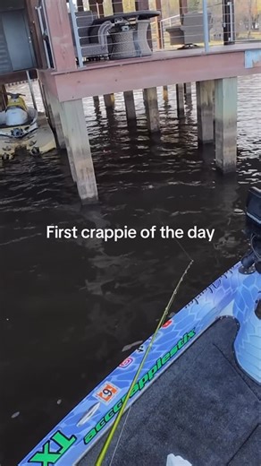 903 Fishing Official on Instagram: "First crappie of the day! #903fishing #fishing #fishinglife #texasfishing #crappiefishing @acc_crappie_stix @piscifun_official"