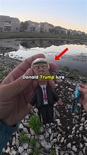 Topwater Donald Trump vs Topwater Frog! #fishing #fishtok #fishingvideos