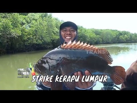Menaklukkan Ikan Penghuni Perairan Nanga Mae | MANCING MANIA STRIKE BACK (27/12/25) P3