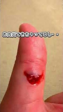 ゲンゲン！晴れ時々凶暴 ＃フレブル#保護犬 #多頭飼い
