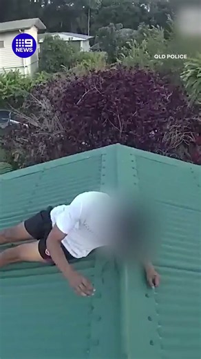 Police take down teen in dramatic rooftop arrest | 9 News Australia