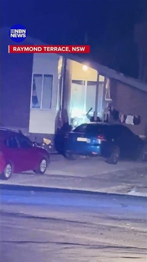 Three injured in NSW dog attack | 9 News Australia