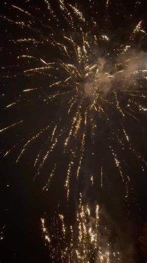 Godzilla vs Kong🎆 #fireworks #pyrotechnica #pyro #puertorico #crackers #happynewyear