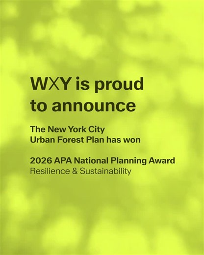 Beyond excited to share that New York City’s Urban Forest Plan has received the American Planning Association's 2026 national Resilience & Sustainability Award!