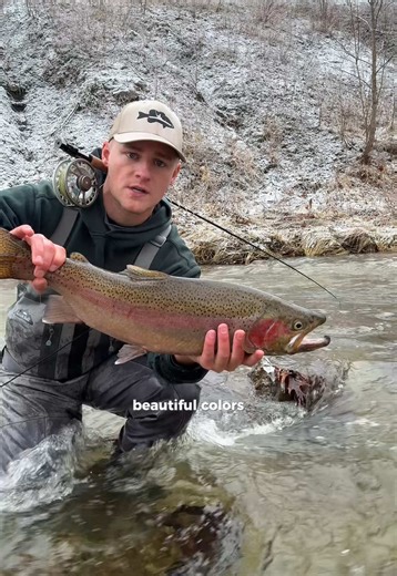 A nice red one! Freezing cold temps overnight led up to a mid day warm up and now we’ve gone from 15 degrees all the way up to 55 degrees with a flood coming the next two days. These steelhead are tough, it’s crazy that they fight through all these changing conditions year after year! Flyrod: 7/8wt Allrod flyrod Waders: @adamsbuiltfishing • • • #fishing #flyfishing