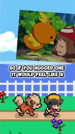 Pokemon fun facts number 7 torchic! #pokemon #pokemontiktok #gaming