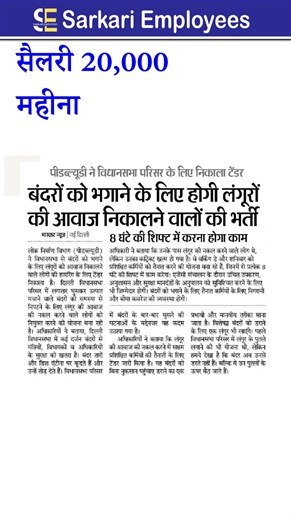 salary 20 thousand per month