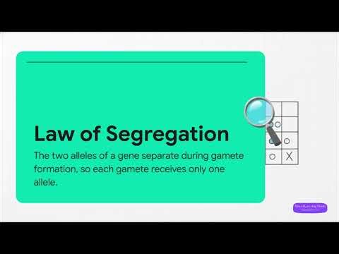 Genetics & Inheritance: Mendel's Laws Animated | Biology Class 12
