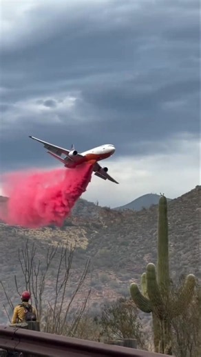🔥 How Planes Fight Wildfires With Red Fire Retardant! ✈️😱 #Shorts