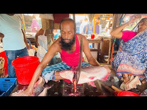 🐟 408K+ Viral Views 🔥 Amazing Fish Cutting | Nazmul is Live