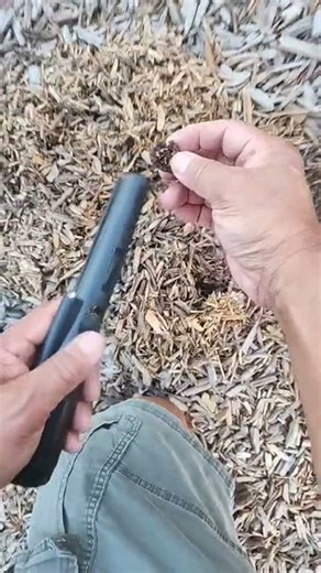 Pinpointer Finds the Chunky Target the Tracker IV Toned Out