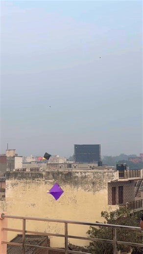 2 kite looting from rooftop🪁Big kite catching on roof|Cutting kite caught|Flying big kites #shorts