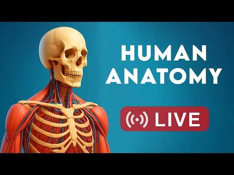 🔴 Inside Us Live: Human Anatomy & Organ Systems
