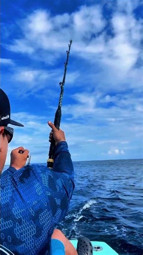 The DTX Minnow 200HD never fails!😎🎣💥