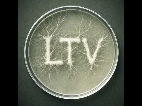 Spore Sized: Lycoperdon excipuliforme: The Puffball That Explodes, Heals, and Tracks Radiation