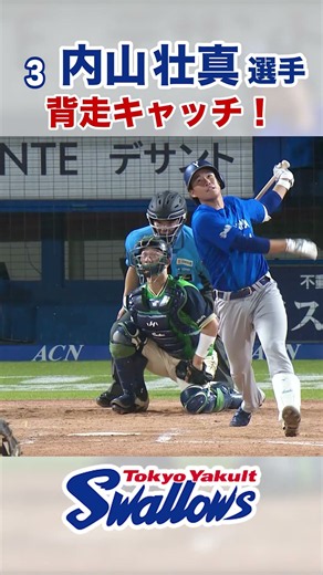 内山壮真選手 背走キャッチ！#swallows #shorts #内山壮真