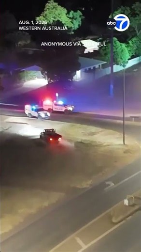 Police chase teens around tree in rural Australia pursuit