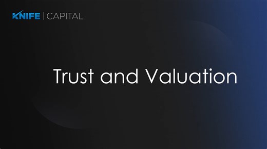 06 VIVIENNE - Trust and Valuation