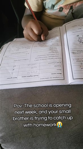 Brother's Homework Struggle: School Reopening!