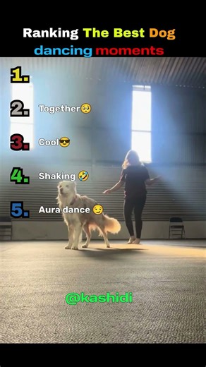 Ranking The Best Dog Dancing Moments