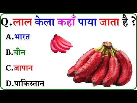GK Question || GK In Hindi || GK Question and Answer || GK Quiz ||
