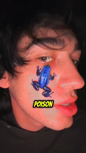 These Poisonous Animals Can Kill You Instantly