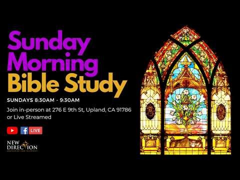 Rahab Welcomes Spies | Joshua 2; 6:16–25; Matthew 1:5; James 2:25; Hebrews 11:31