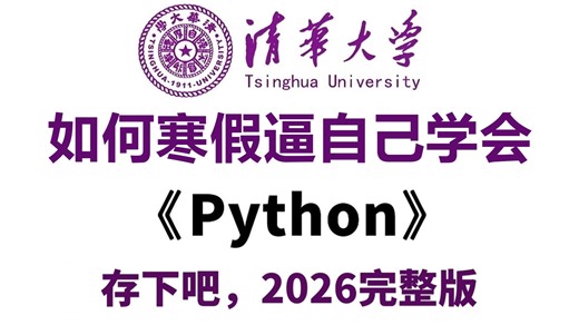【全548集】目前B站最全最细的Python零基础全套教程，寒假从入门到精通Python，学完即可就业！看完这一套Python教程就够了！
