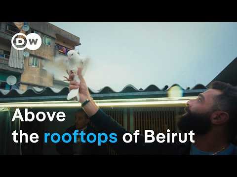 Lebanon's ancient pigeon game | DW Documentary