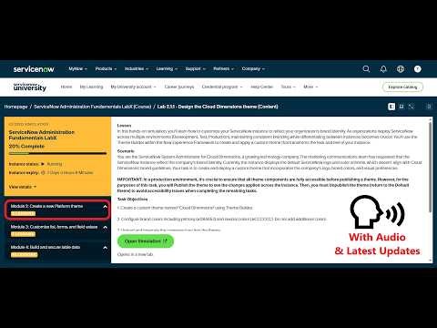 Module 2: Create a new Platform theme | ServiceNow Administration Fundamentals LabX