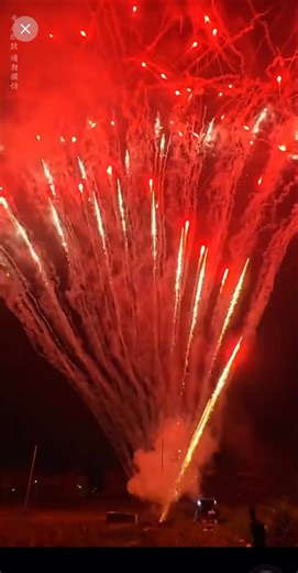 Pure pyrotechnic magic in the air 🔥🎇 #fireworks #pyrotechnics #pyro #fireworksshort