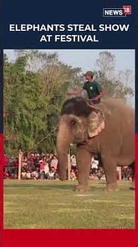 Painted Elephants Entertain Crowds At Nepal’s Chitwan Elephant Festival | Viral Visuals | N18G